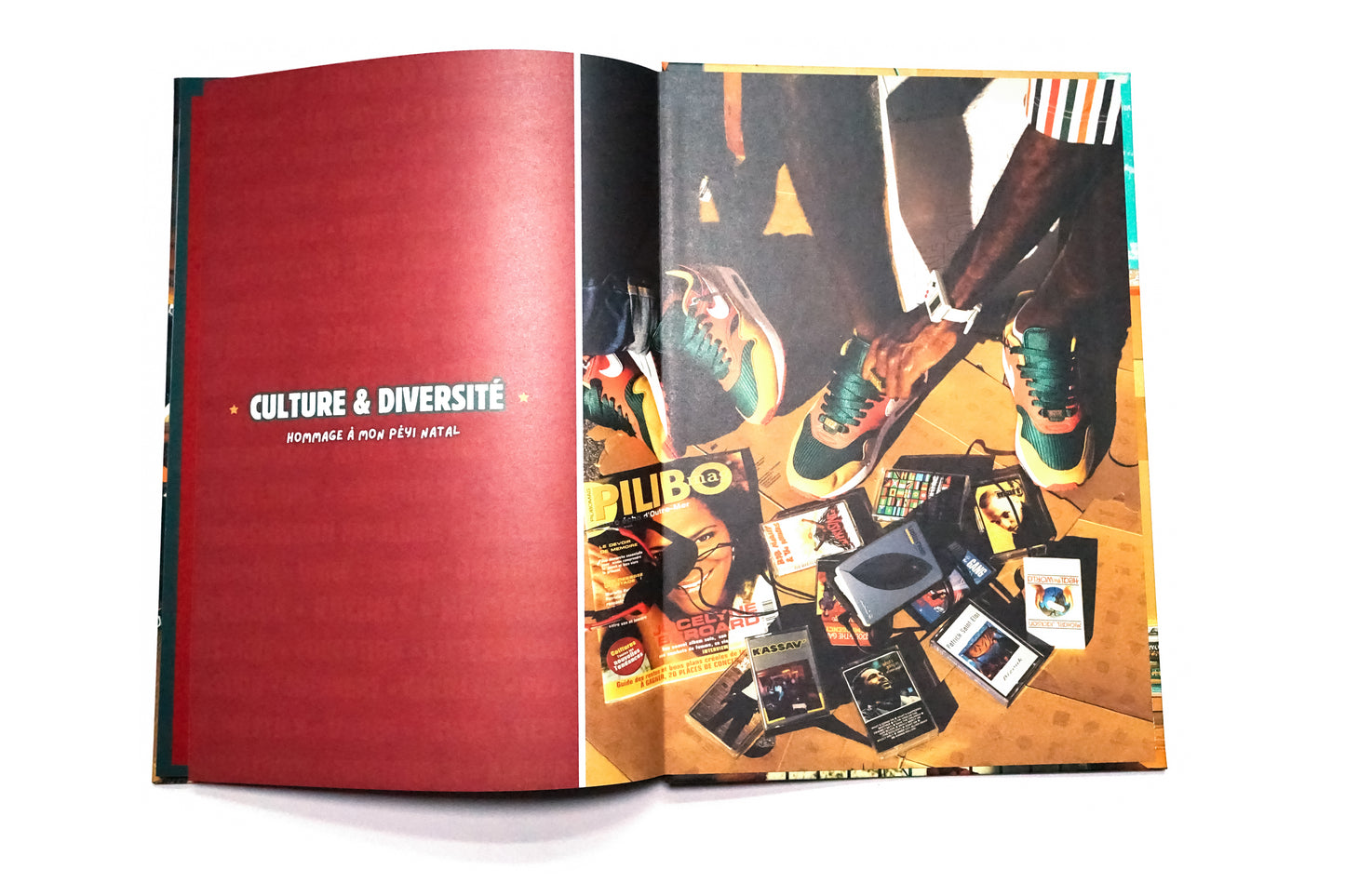 Book CULTURE & DIVERSITY